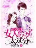 陆少追妻:女人你别太过分