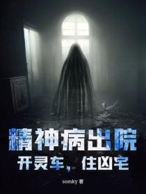 精神病出院，开灵车，住凶宅