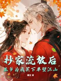 抄家流放后,王爷为我买下半壁江山