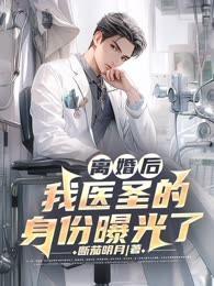 离婚后,我医圣的身份曝光了!