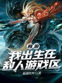 网游:我出生在敌人游戏区