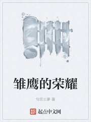 雏鹰的荣耀匂宮出夢