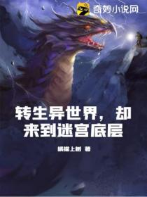 转生异世界,却来到迷宫底层