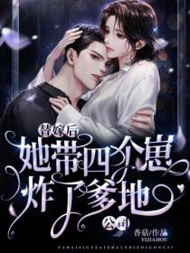 替嫁后,她带四个崽炸了爹地公司