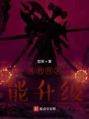 我的符文能升级