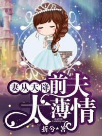 妻从天降,前夫太薄情