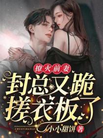 撩火前妻:封总又跪搓衣板了
