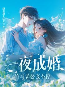 一夜成婚,竹马老公宠不停!