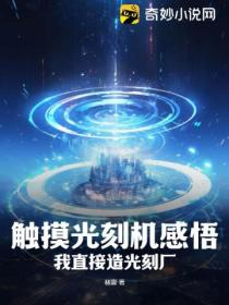 触摸光刻机感悟,我直接造光刻厂!