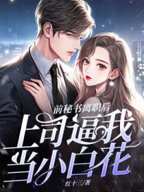 前秘书离职,上司逼我当小白花