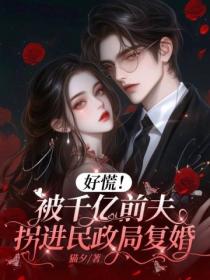 好慌!被千亿前夫拐进民政局复婚