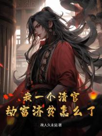 我一个清官,劫富济贫怎么了