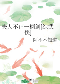 夫人不止一柄剑[综武侠]