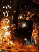 心竹的世界