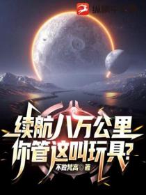 续航八万公里,你管这叫玩具?