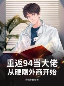重返94当大佬，从硬刚外商开始