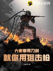 大家都用刀剑,就你用狙击枪?