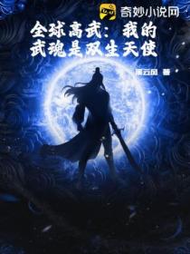 全球高武:我的武魂是双生天使