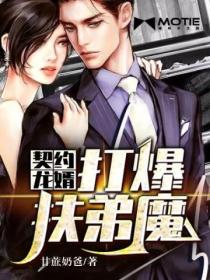 契约龙婿:打爆扶弟魔