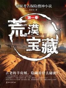 荒漠宝藏