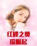 红楼之贾琮崛起