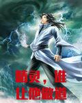 精灵，谁让他做道馆馆主的