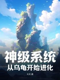 神级系统，从乌龟开始进化