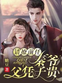 错撩前任,秦爷父凭子贵