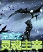 美漫之灵魂主宰