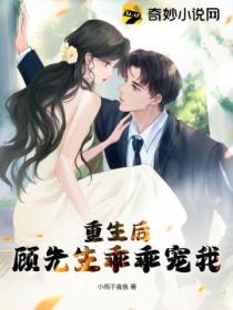 重生后，顾先生乖乖宠我