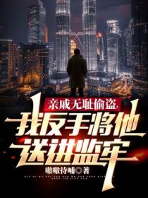 亲戚无耻偷盗,我反手将他送进监牢