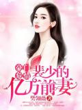 豪门危情:裴少的亿万前妻