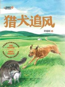 许廷旺动物小说系列：猎犬追风