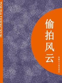 偷拍风云（短篇）