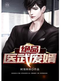 绝品医武废婿