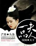 钱倾天下:一品夫人