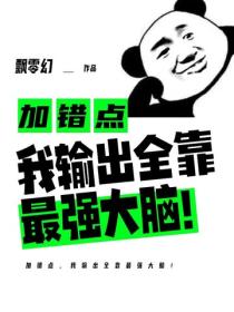 加错点，我输出全靠最强大脑！