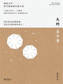 大约在冬季(马思纯、霍建华、文淇、魏大勋主演同名电影原著小说)