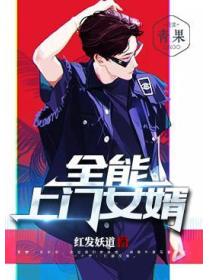 全能上门女婿
