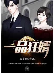 一品狂婿