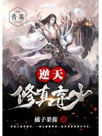 逆天修真弃少