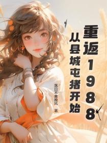 重返1988:从县城屯猪开始