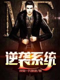 逆袭系统