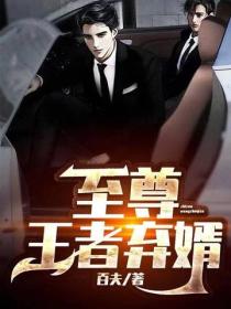 至尊王者弃婿