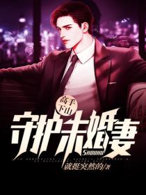 高手下山:守护未婚妻