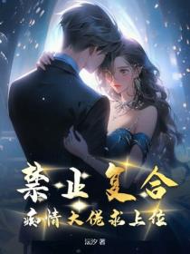 禁止复合!痴情大佬求上位
