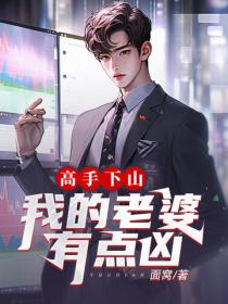 高手下山：我的老婆有点凶
