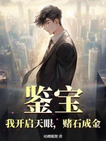 鉴宝：我开启天眼，赌石成金