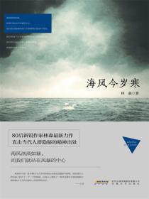 新生代作家小说精选大系海风今岁寒