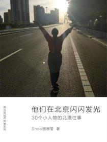 他们在北京闪闪发光：30个小人物的北漂往事